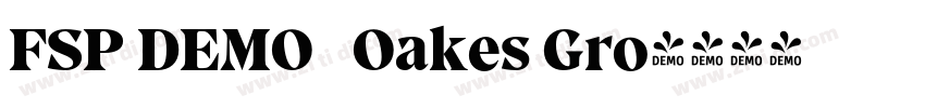 FSP DEMO   Oakes Gro字体转换